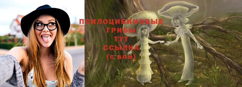 Галлюциногенные грибы Magic Shrooms  Ульяновск 